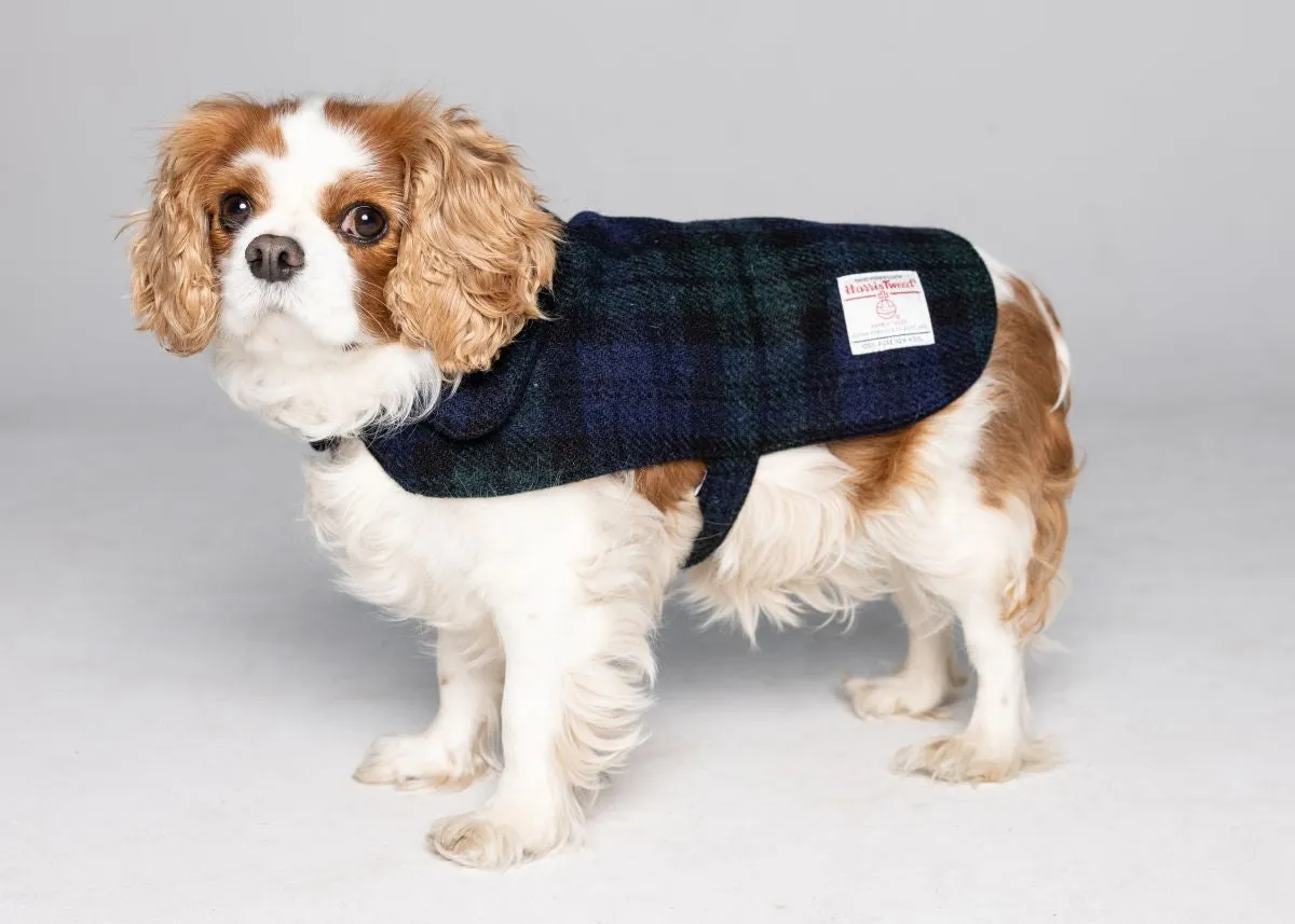 Harris Tweed Dog Coat - Black Watch