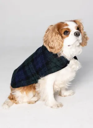 Harris Tweed Dog Coat - Black Watch