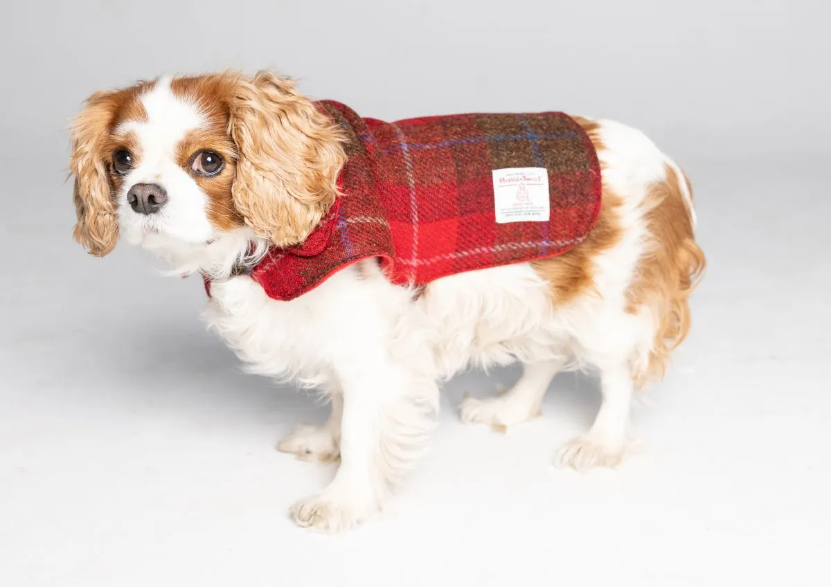 Harris Tweed Dog Coat - Red/Green Check