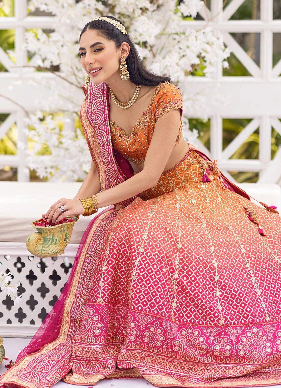 Naira Ombre Printed Lehenga Choli