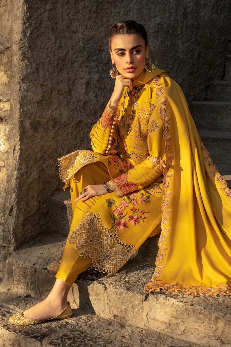 Rang Rasiya Premium Winter Collection 2023 – Shahay