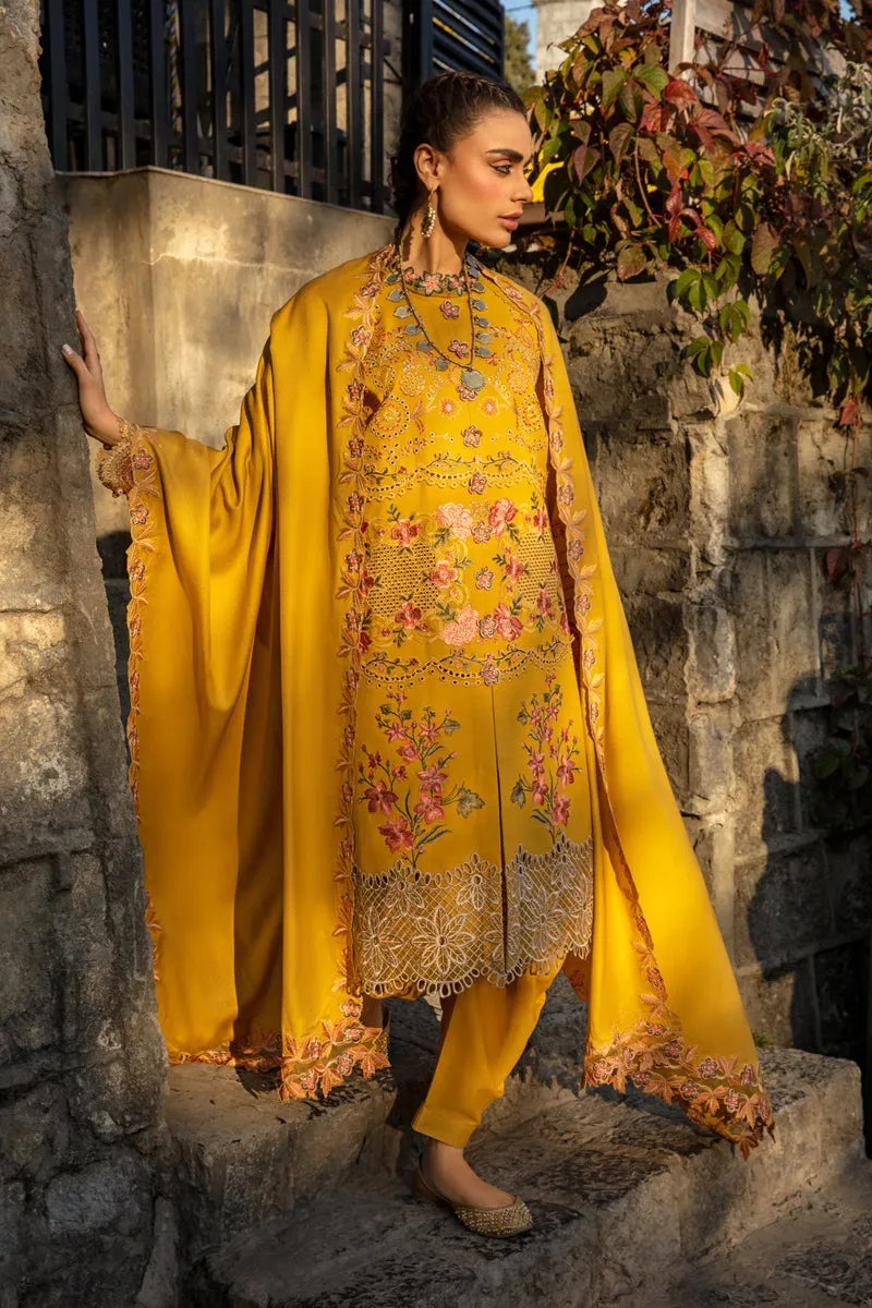 Rang Rasiya Premium Winter Collection 2023 – Shahay